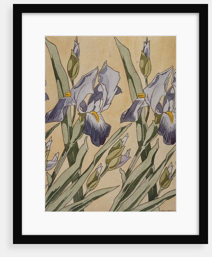 Iris, 1898 by Koloman Moser