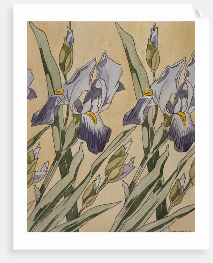Iris, 1898 by Koloman Moser