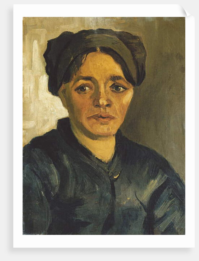 Head of a Peasant c.1884 by Vincent van Gogh