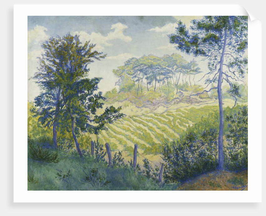 Vineyards Under the Pines; Les Vignobles sous les Pins, c. 1898 by Paul Ranson