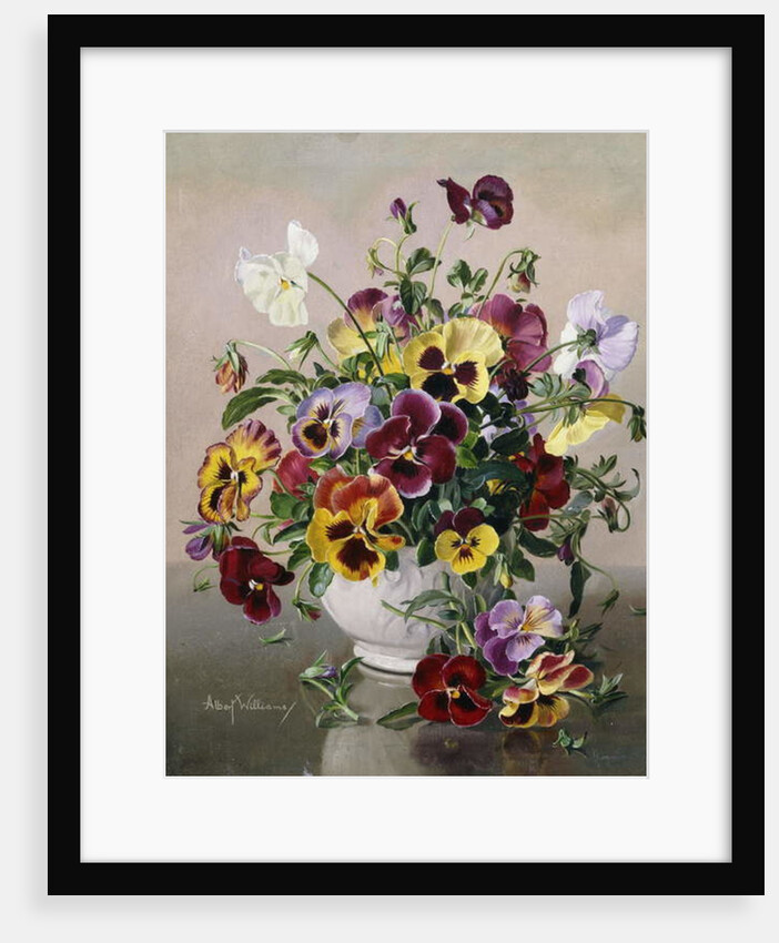A Still Life with Pansies by Albert Williams
