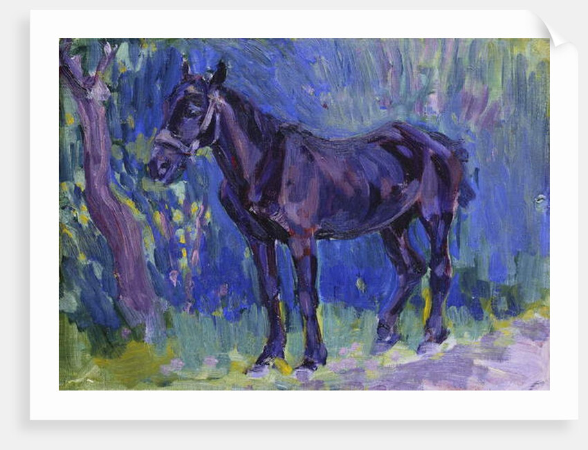 Study for Sussex Farm Horse, c. 1904-6 by Robert Polhill Bevan