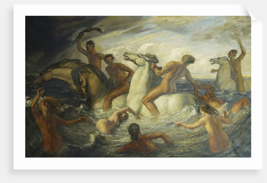 The Sea Race by Harry Morley