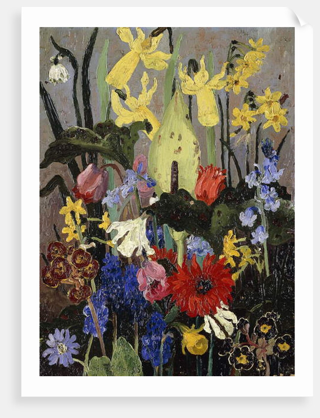Spring Flowers, 1931 by Cedric Morris