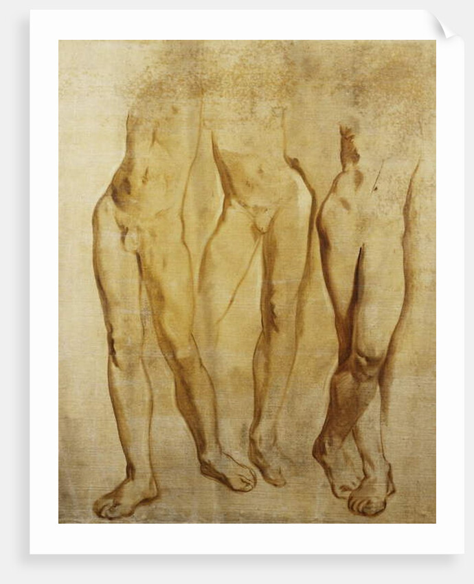 Three Studies of a Standing Male Nude by Glyn Warren Philpot
