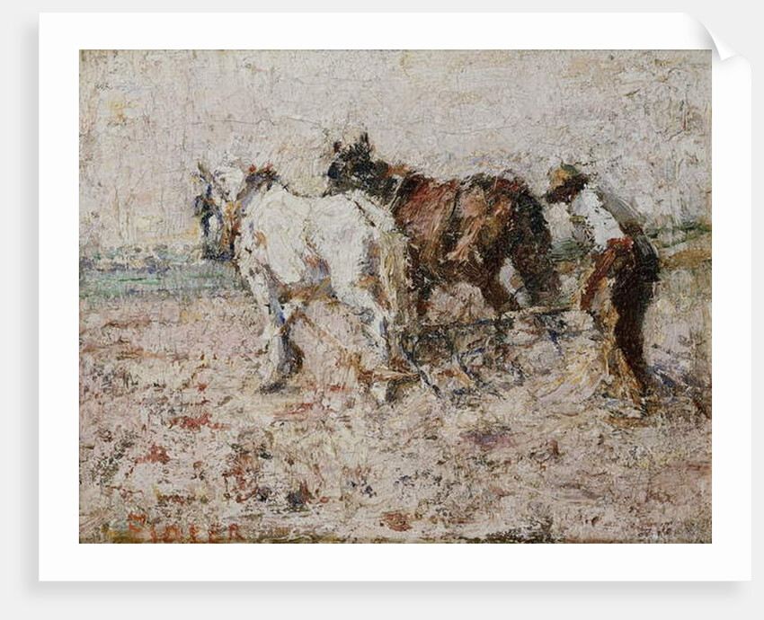 Harrowing by Harry Fidler