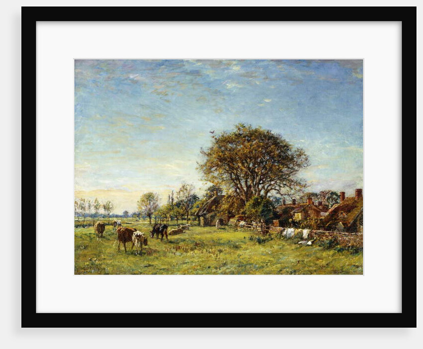 A Summers Day by Mark Fisher