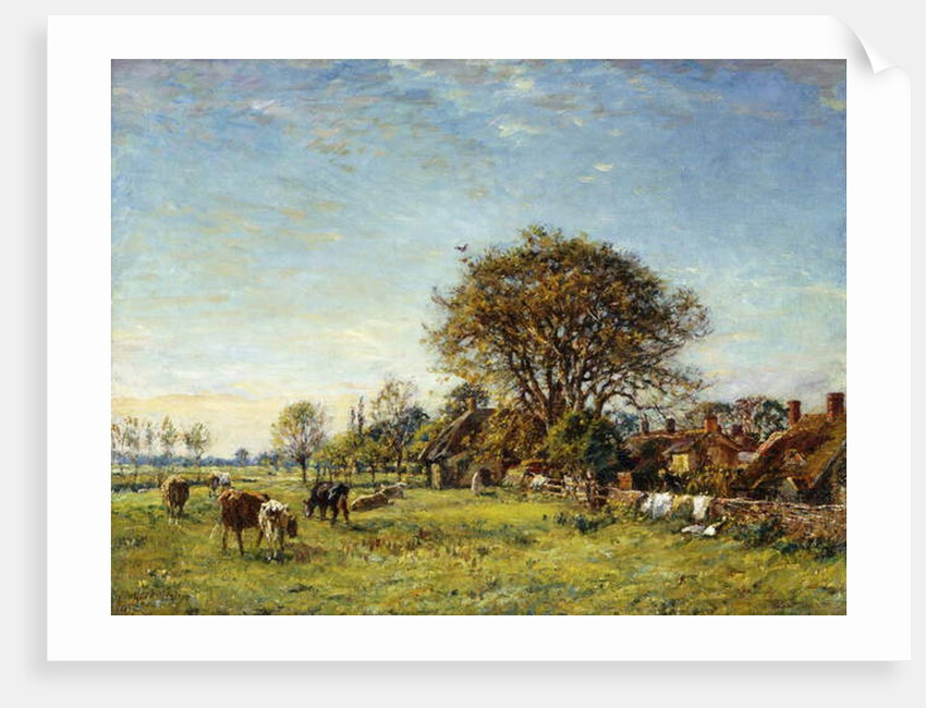 A Summers Day by Mark Fisher