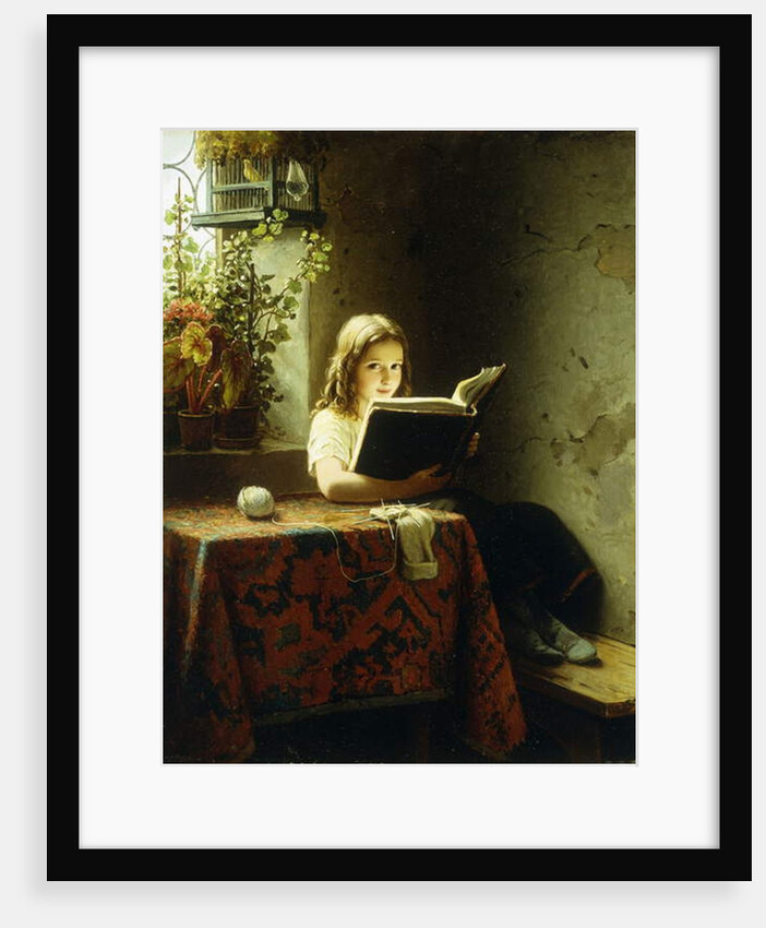 A Girl Reading; Das Lesende Madchen, 1871 by Johann Georg Meyer