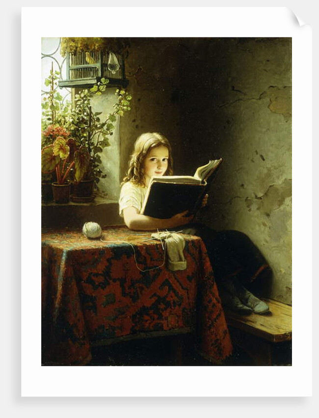 A Girl Reading; Das Lesende Madchen, 1871 by Johann Georg Meyer