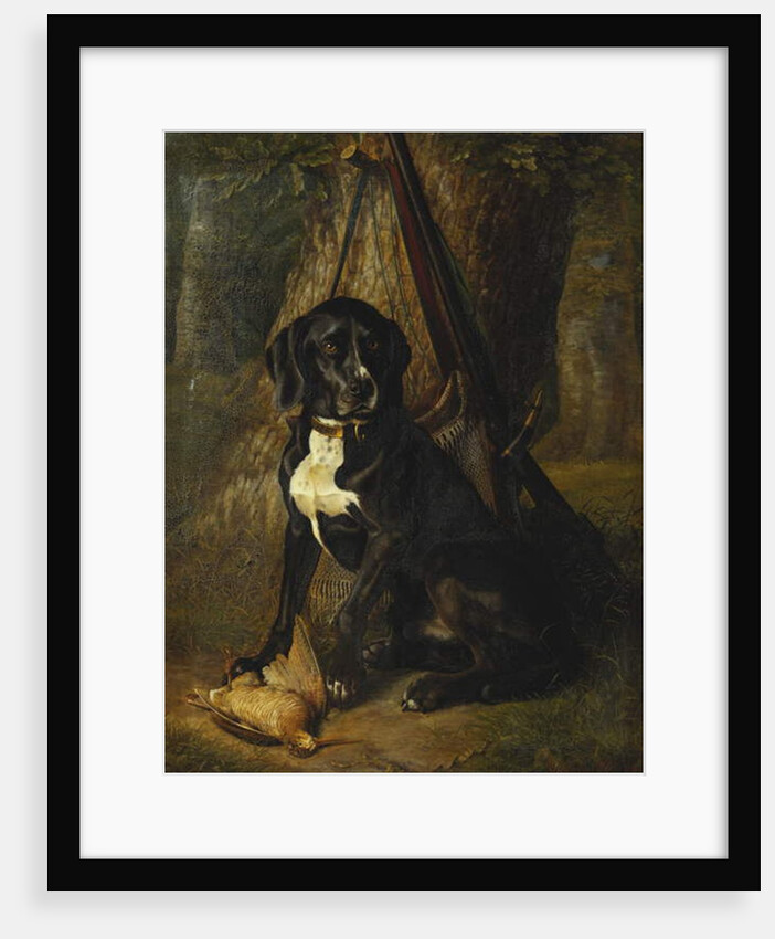 A Gun Dog with a Woodcock, 1842 by William Hammer