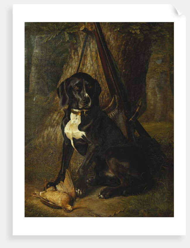 A Gun Dog with a Woodcock, 1842 by William Hammer
