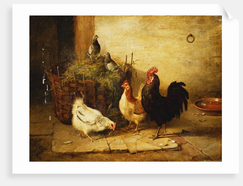 Poultry and Pigeons in an Interior, 1881 by Walter Hunt