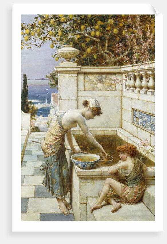 The Goldfish Pond by William Stephen Coleman