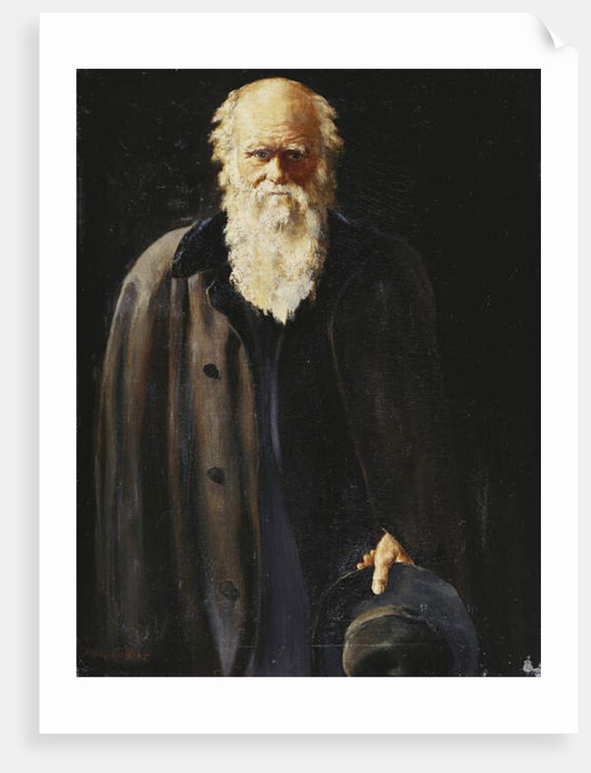 Portrait of Charles Darwin, standing three quarter length, 1897 by John Collier