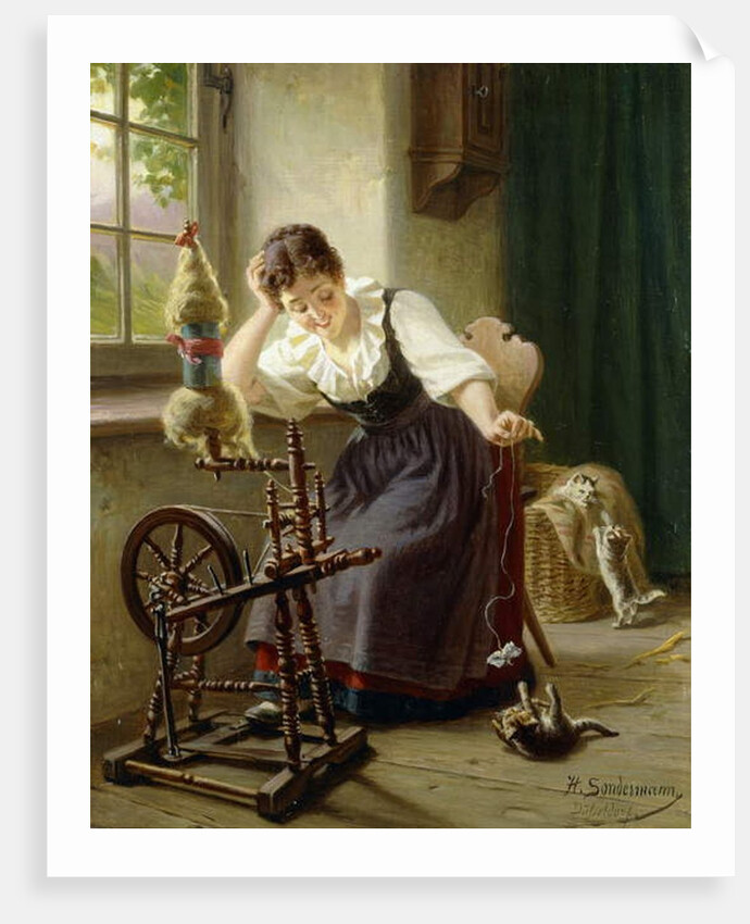 Playing with the Cat by Herman Sondermann