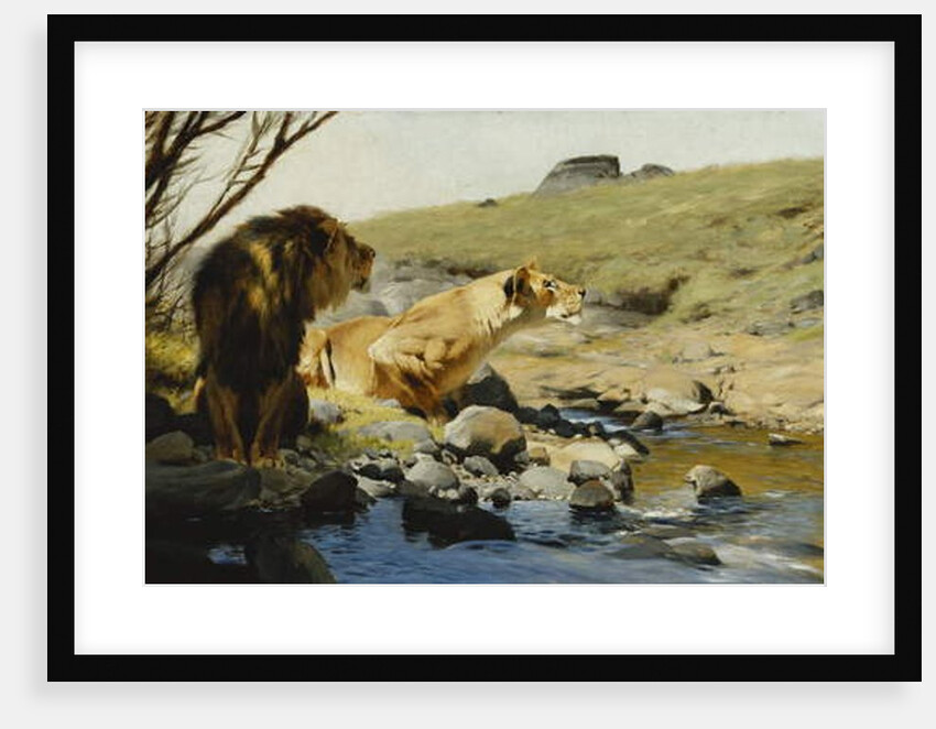 A Lion and Lioness at a Stream by Wilhelm Kuhnert