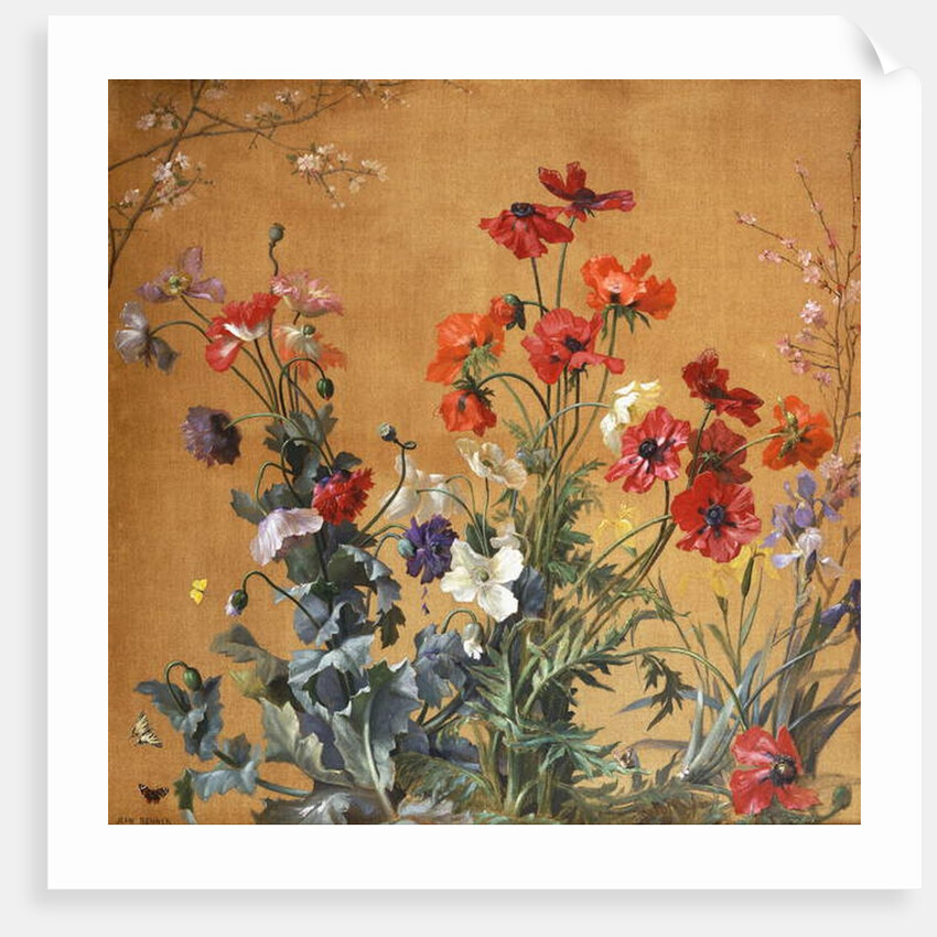 Poppies, Irises and Blossom by Jean Benner