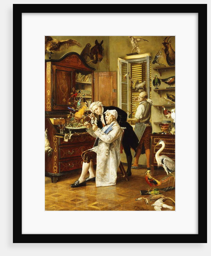 The Taxidermist by Francesco Brunery
