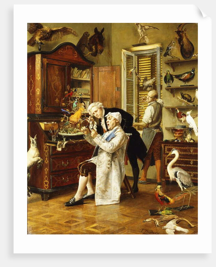 The Taxidermist by Francesco Brunery