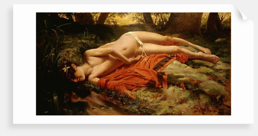 Narcissus by Conda de Satriano