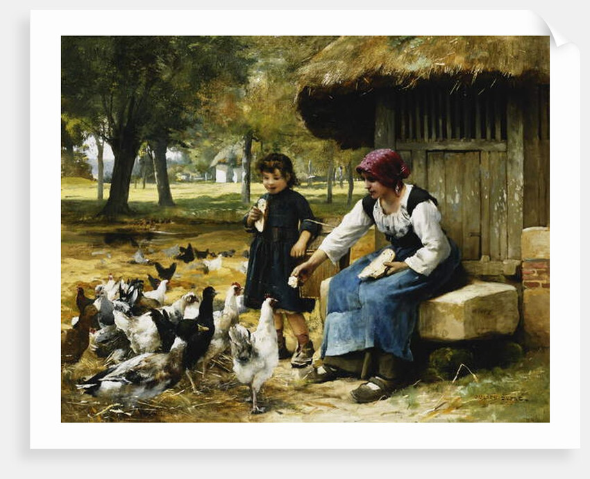 Feeding Time by Julien Dupre