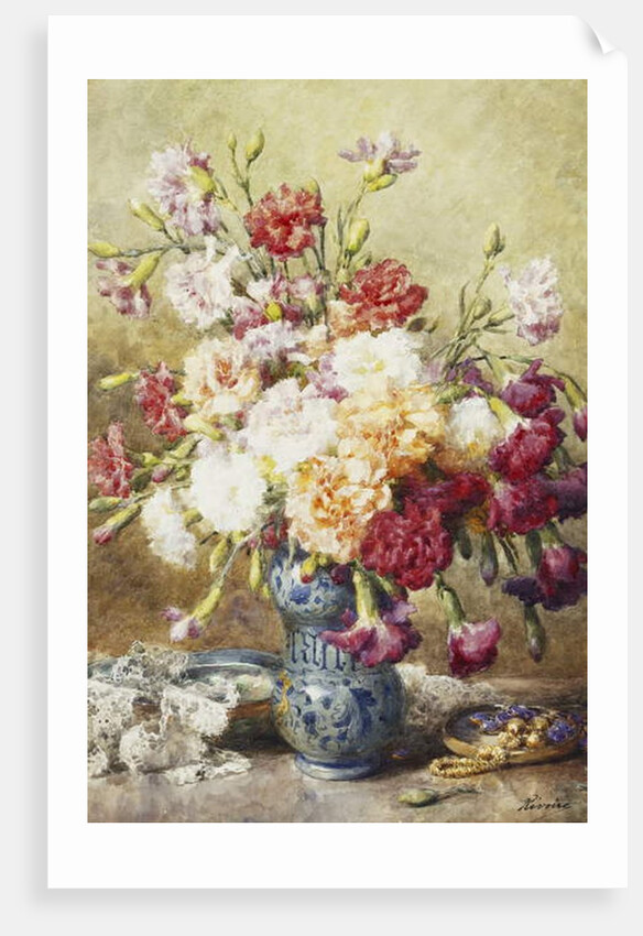 Carnations in the Albarello by Francois Rivoire