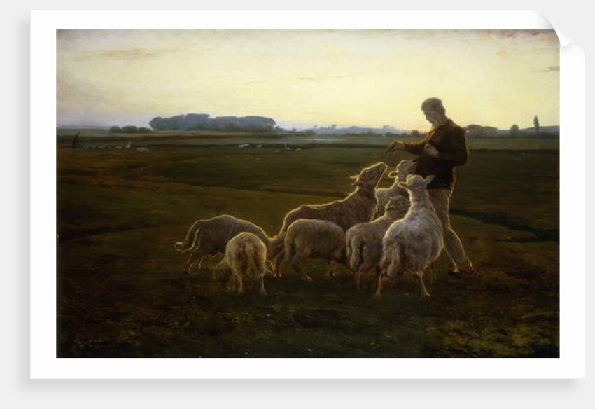 A Shepherd and his Sheep with Geese Beyond, 1896 by Carl Christian Ferdinand Wentorf
