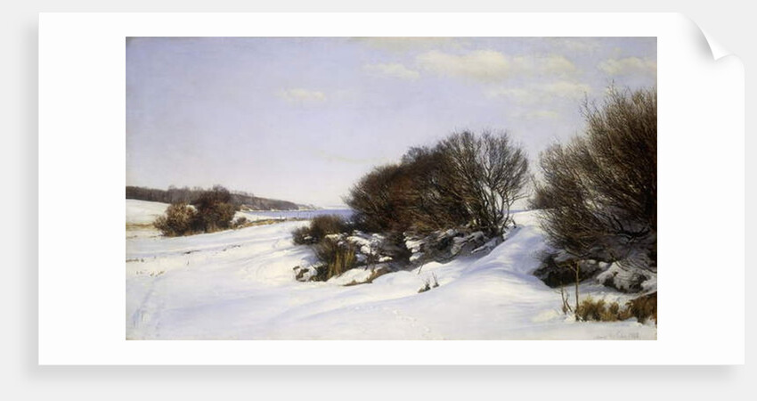 Winter Near the Sea, 1888 by Janus la Cour