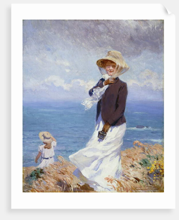 A Windy Day by Daniel Hernandez