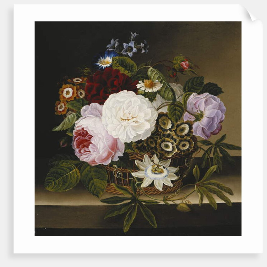 Roses and Other Flowers in a Basket on a Ledge by Dionys van Nijmegen