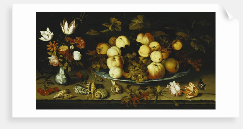 Fruit on a Dish, Flowers in a Wanli Kraak Porselein Vase, Sprigs of Cherries and Redcurrants, Seashells, a Rose, a Tulip, a Pink, a Lizard, a Snail and a Red Admiral on a Stone Ledge, Dragonflies Above by Balthasar van der Ast