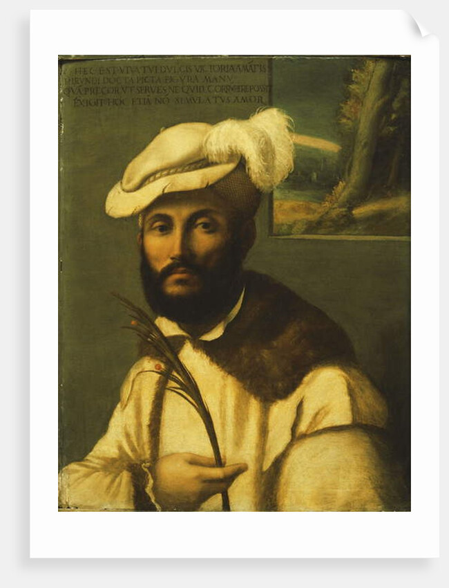 Portrait of a Bearded Gentleman by Francesco Rondani