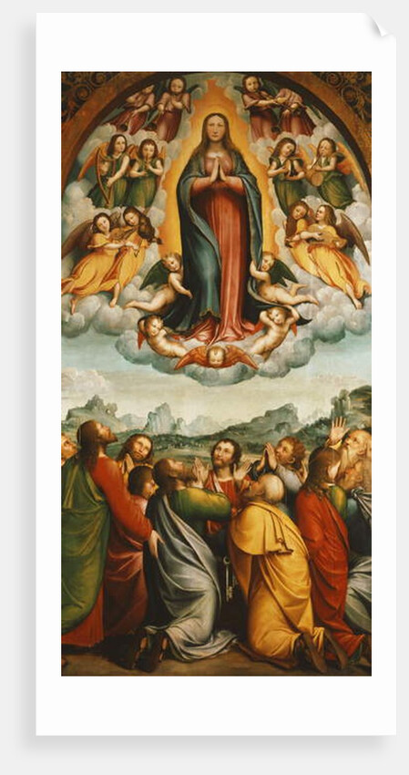 The Assumption of the Virgin by Bernardino Ferrari