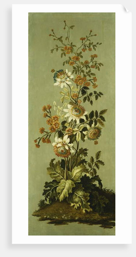 Decorative Panels with Flowers by Jean Baptiste Pillement