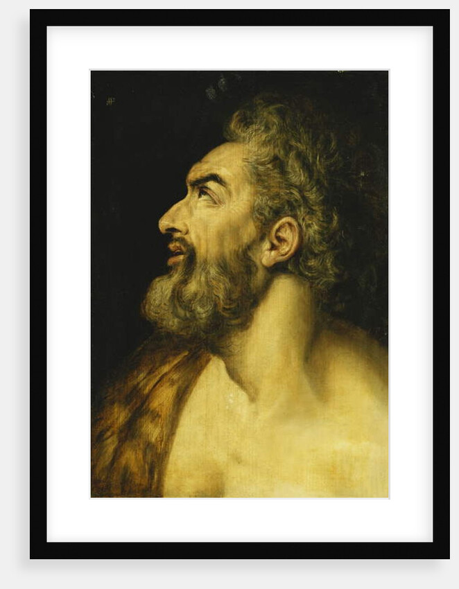 Head of Saint John the Baptist by Frans Floris