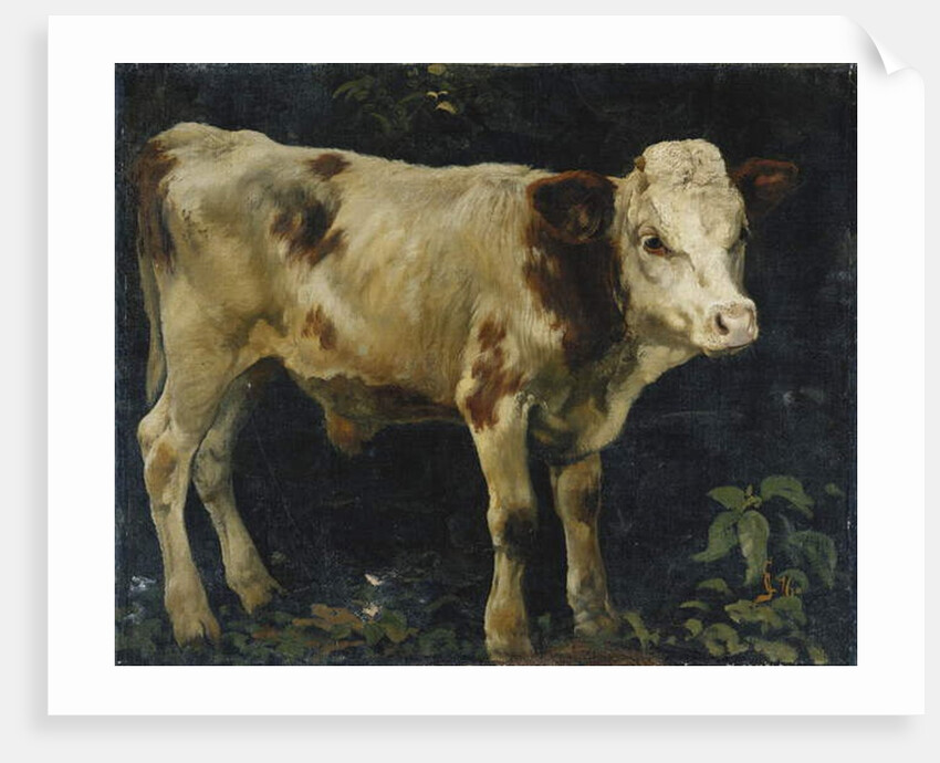 A Bull Calf, 1876 by Christian Eriksen Skredsvig