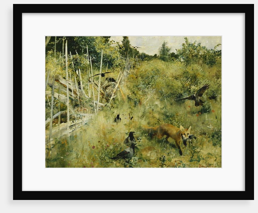 A Fox Taking a Crow; Rav Och Krakor, 1884 by Bruno Andreas Liljefors