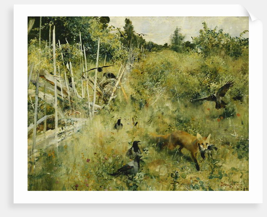 A Fox Taking a Crow; Rav Och Krakor, 1884 by Bruno Andreas Liljefors