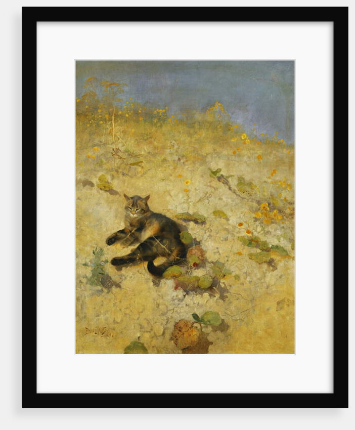 A Cat Basking in the Sun, 1884 by Bruno Andreas Liljefors