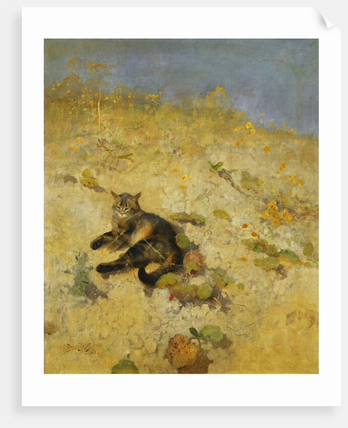 A Cat Basking in the Sun, 1884 by Bruno Andreas Liljefors