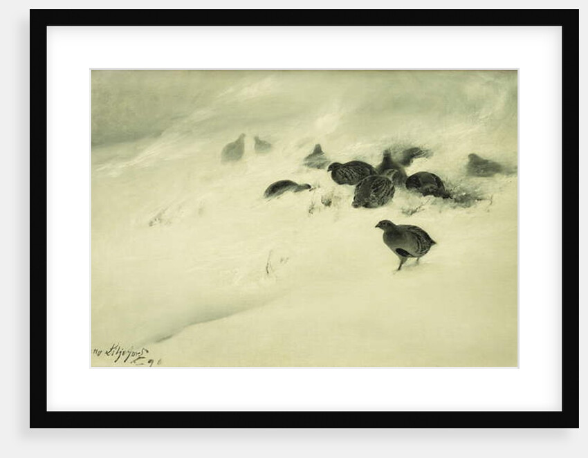 Grouse in a Snow Storm, 1890 by Bruno Andreas Liljefors