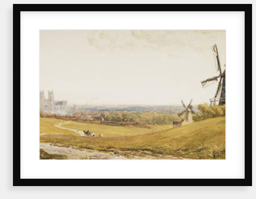 Beverley Minster by Robert Thorne Waite