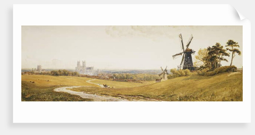 Beverley Minster by Robert Thorne Waite