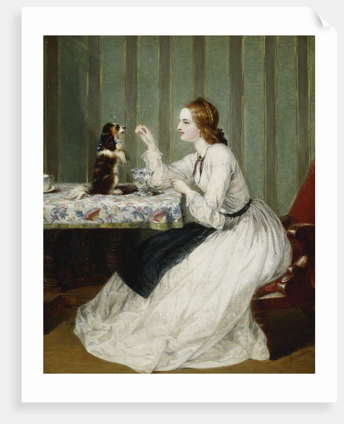 Donations Thankfully Received, 1862 by Marshall Claxton