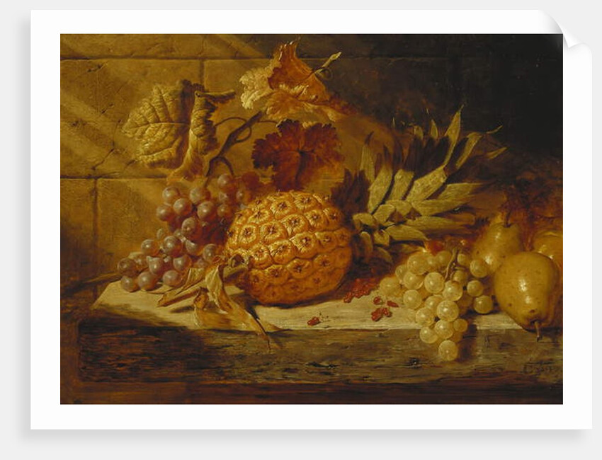 Black and White Grapes, Pears, Redcurrants and a Pineapple on a Ledge, 1845 by George Lance
