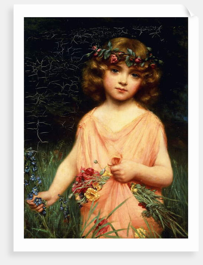 The Sweetest Flower by A. Trevor Haddon