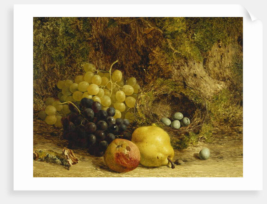 Grapes, an Apple, a Pear and a Bird's Nest on a Mossy Bank, 1865 by William Hughes