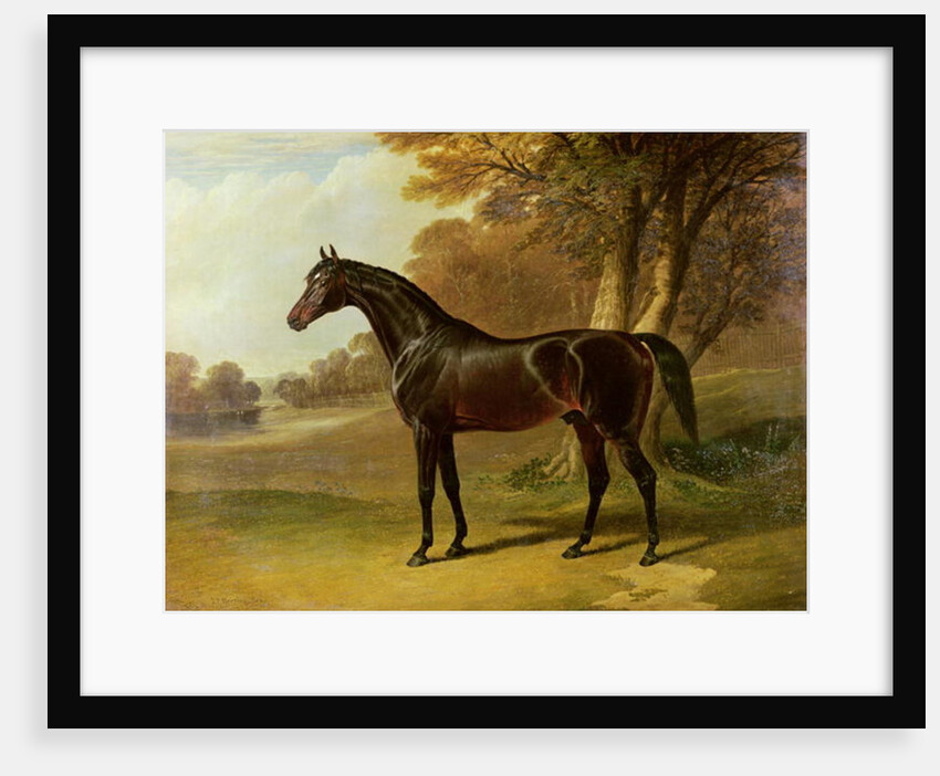 Glaucus by John Frederick Herring Snr