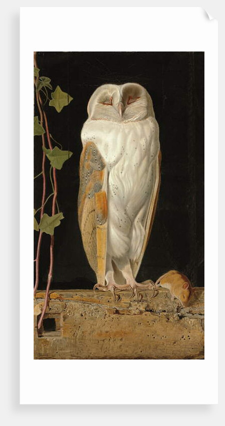 The White Owl: 'Alone and warming his five wits, the white owl in the belfry sits', 1856 by William J. Webbe